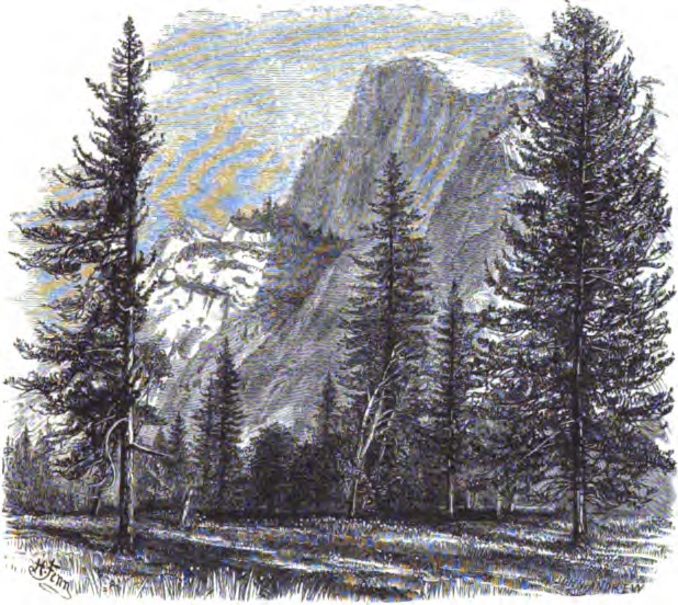 1 Engraving made from CEW of Half Dome reproduced in CGS Geology, Vol. 1, 1865