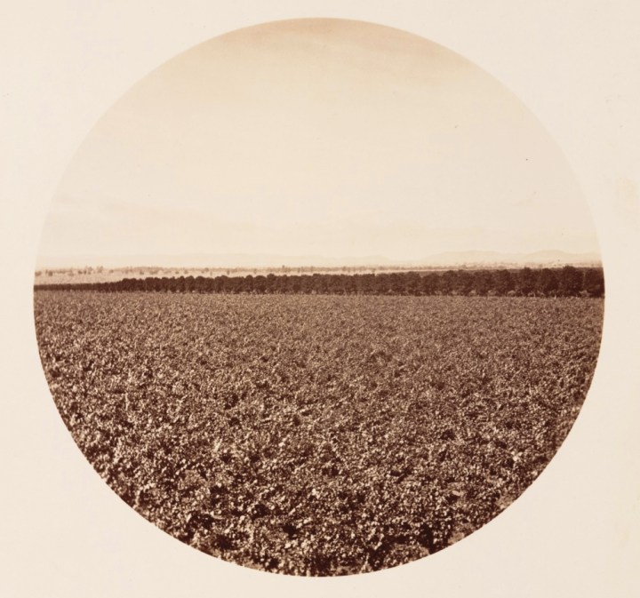 10 CEW, Sunny Slope, ca. 1880, HEH 1000