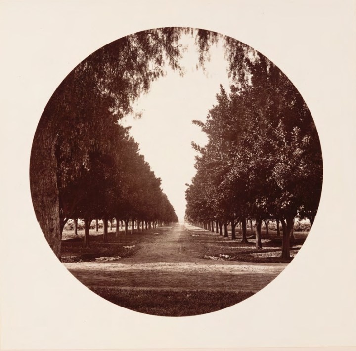 12 CEW, Sunny Slope, ca. 1880, HEH.jpg