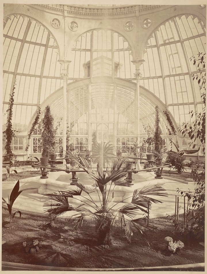 12c, CEW, Interior of Millbrae ConservatoryDO Mills conservatory interior, Bancroft, ca 1856-76, BANC