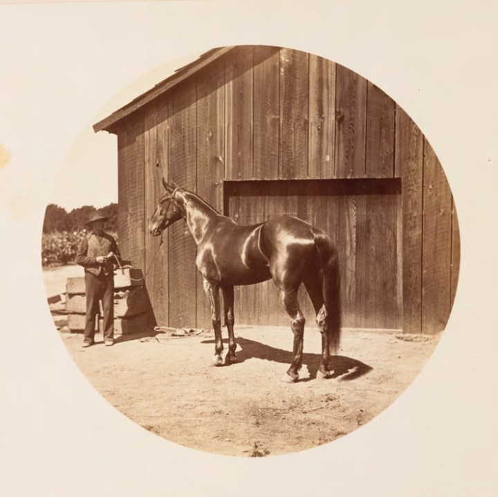 14 CEW, Sunny Slope, ca. 1880, HEH
