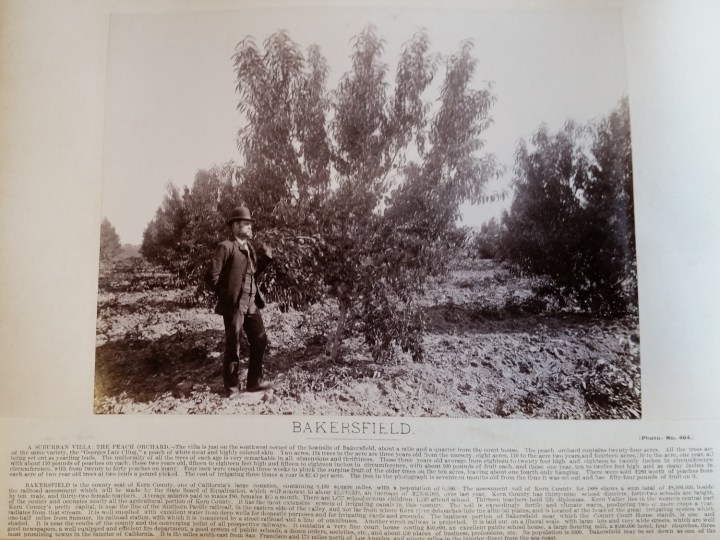 16 CEW, Bakersfield, ca. 1887-88, unidentified collection 1500