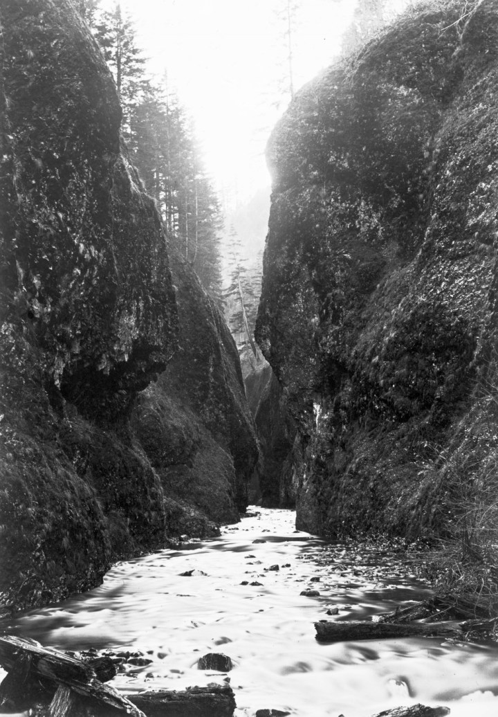 2 CEW, View Up the Oneonta Gorge, Cascades, , ca. 1882-83, OHS 975