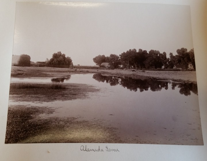 4 CEW, Alameda Farm, ca. 1887-88, unidentified collex 1500