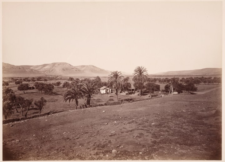4 CEW, Olive and Palm Orchard, Mission San Diego de Alcala, San Diego County, ca. 1877, HEH 1500