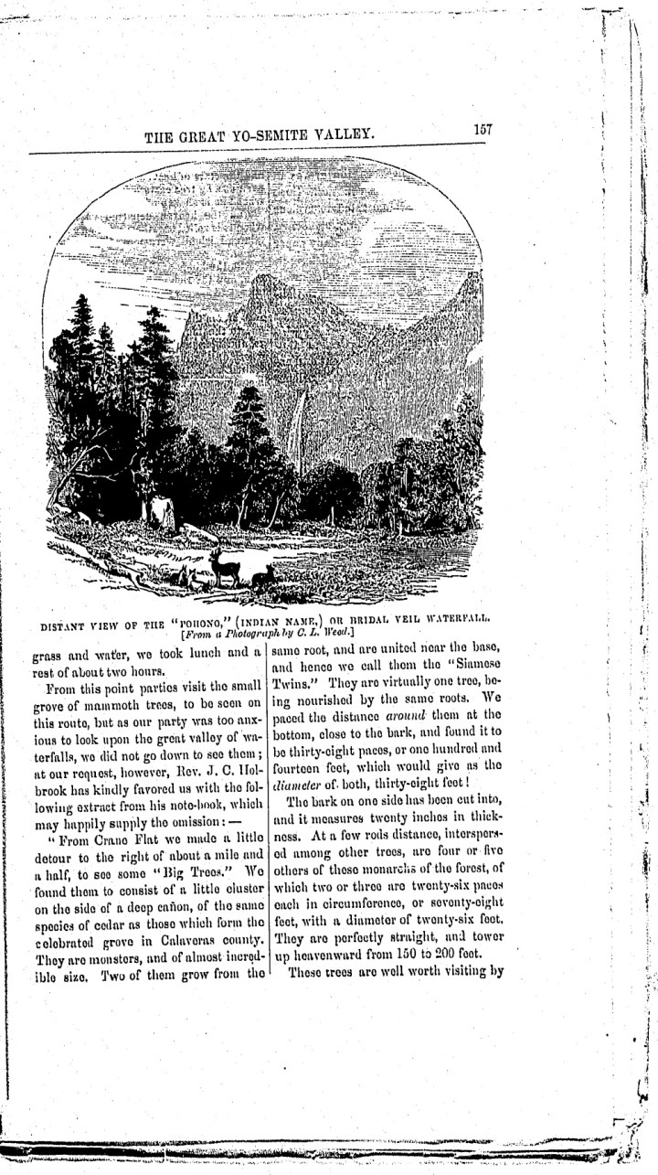 4 Weed in Hutchings (2), Oct. 1859