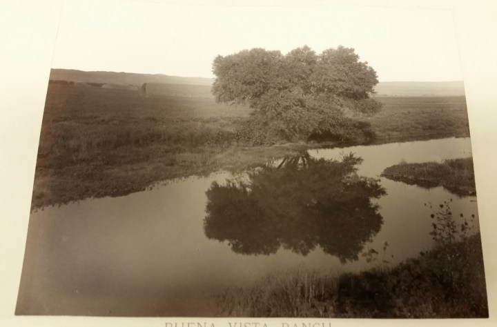 5 CEW, Buena Vista Ranch, ca. 1887-88, KCM 1500