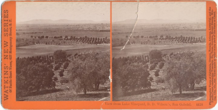 5 CEW, View from Lake Vineyard, B.D. Wilson's Property, ca. 1877-80, CSL 1500.jpg