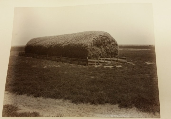 7a CEW, Jackson Ranch, 1887-89, KCM