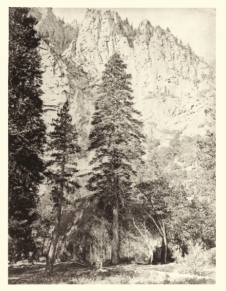 8 CEW Amabilis, Yosemite, 1865-66, TBD
