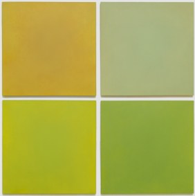 Lodgepole Pine 37- x 37-Slikati Missoula Photographers 2017-03154321